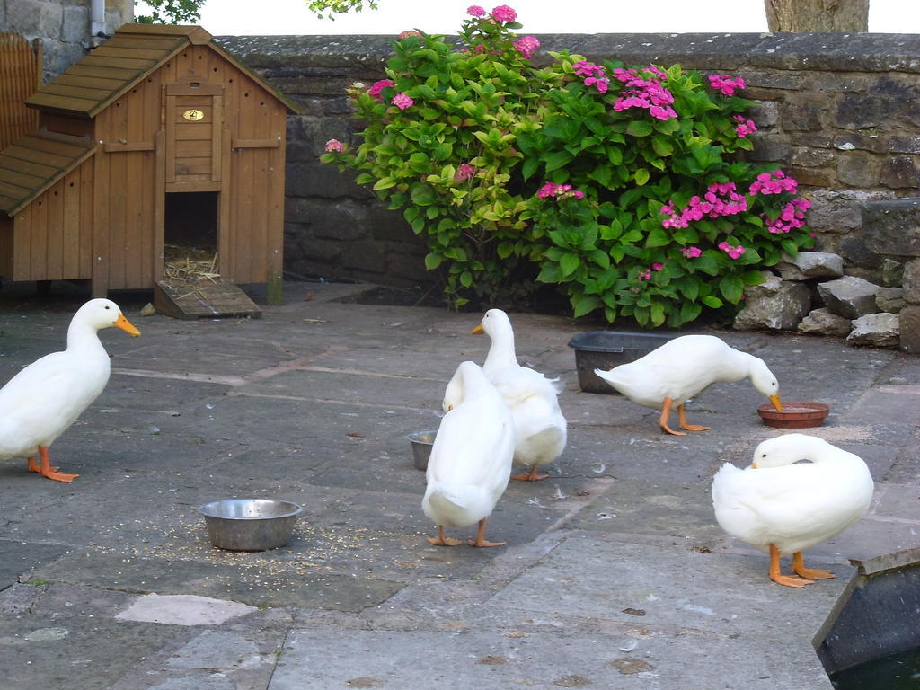 Tithe Barn Bed And Breakfast Carnforth Exterior photo